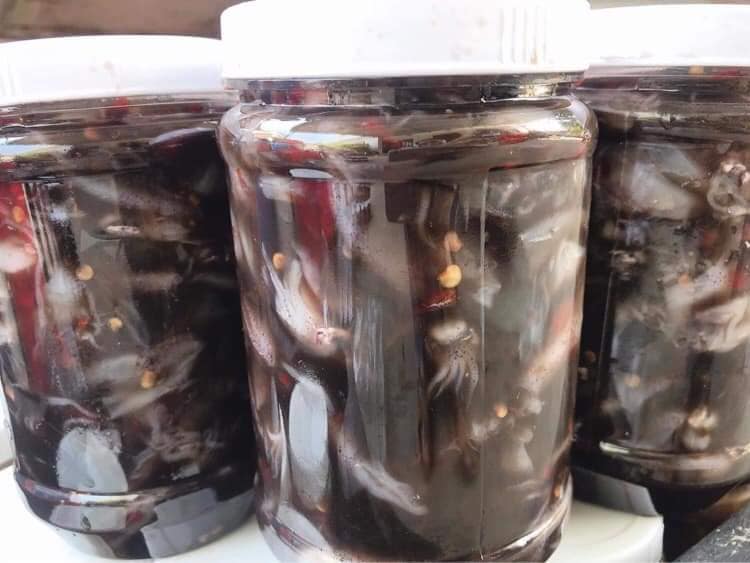 LÝ SƠN FOODS - Hải sản Lý Sơn, hành tỏi Lý Sơn, đặc sản Lý Sơn tại Tp. HCM, tại Hà nội, tại Đà Nẵng