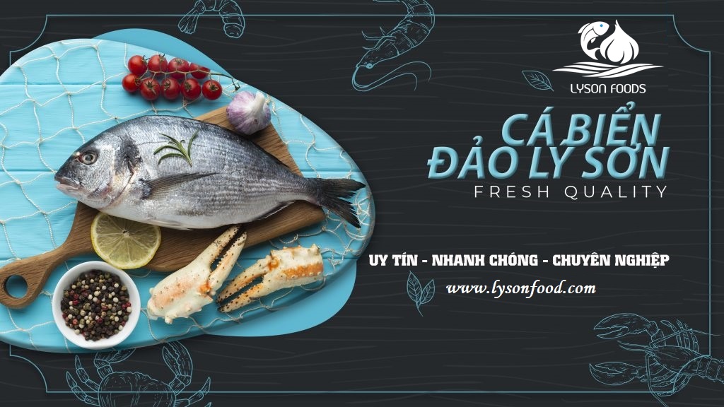 Banner slide 02