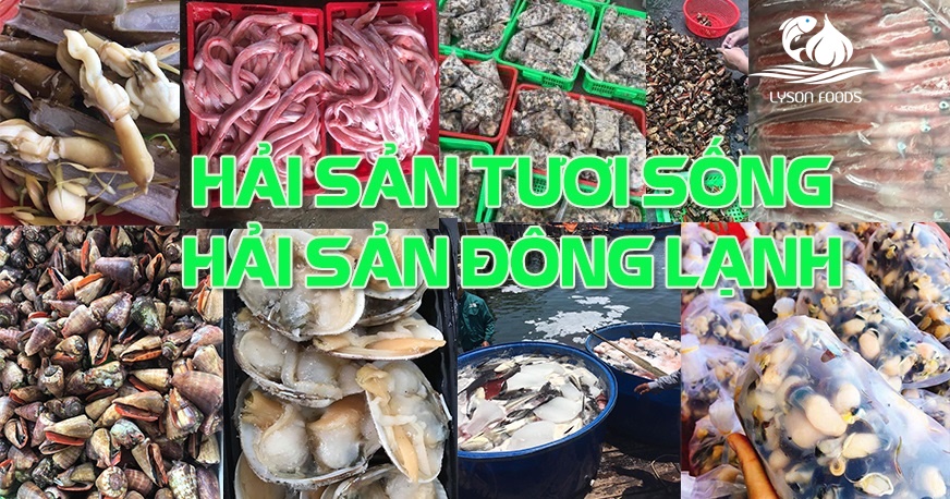 Banner slide 03