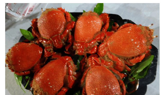 LÝ SƠN FOODS - Hải sản Lý Sơn, hành tỏi Lý Sơn, đặc sản Lý Sơn tại Tp. HCM, tại Hà nội, tại Đà Nẵng