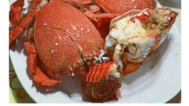 LÝ SƠN FOODS - Hải sản Lý Sơn, hành tỏi Lý Sơn, đặc sản Lý Sơn tại Tp. HCM, tại Hà nội, tại Đà Nẵng