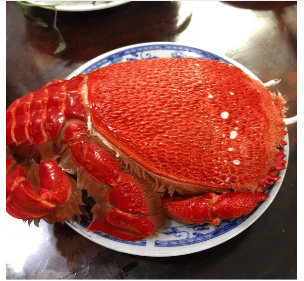 LÝ SƠN FOODS - Hải sản Lý Sơn, hành tỏi Lý Sơn, đặc sản Lý Sơn tại Tp. HCM, tại Hà nội, tại Đà Nẵng