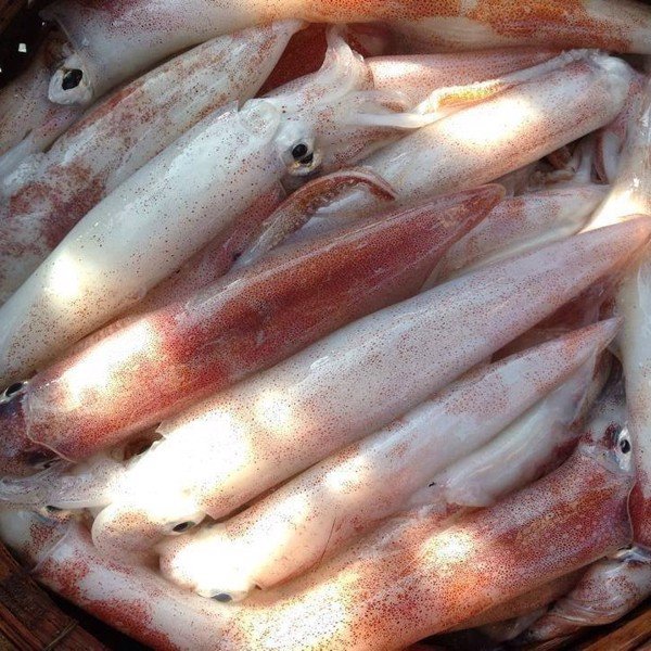 LÝ SƠN FOODS - Hải sản Lý Sơn, hành tỏi Lý Sơn, đặc sản Lý Sơn tại Tp. HCM, tại Hà nội, tại Đà Nẵng