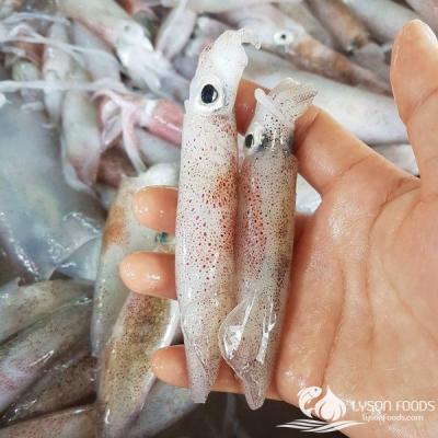 Mực sữa Lý Sơn